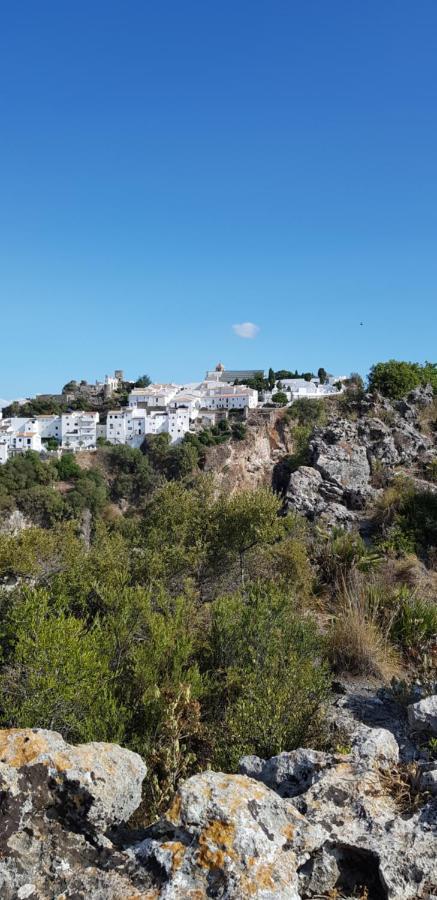 Puerto Estepona Dış mekan fotoğraf